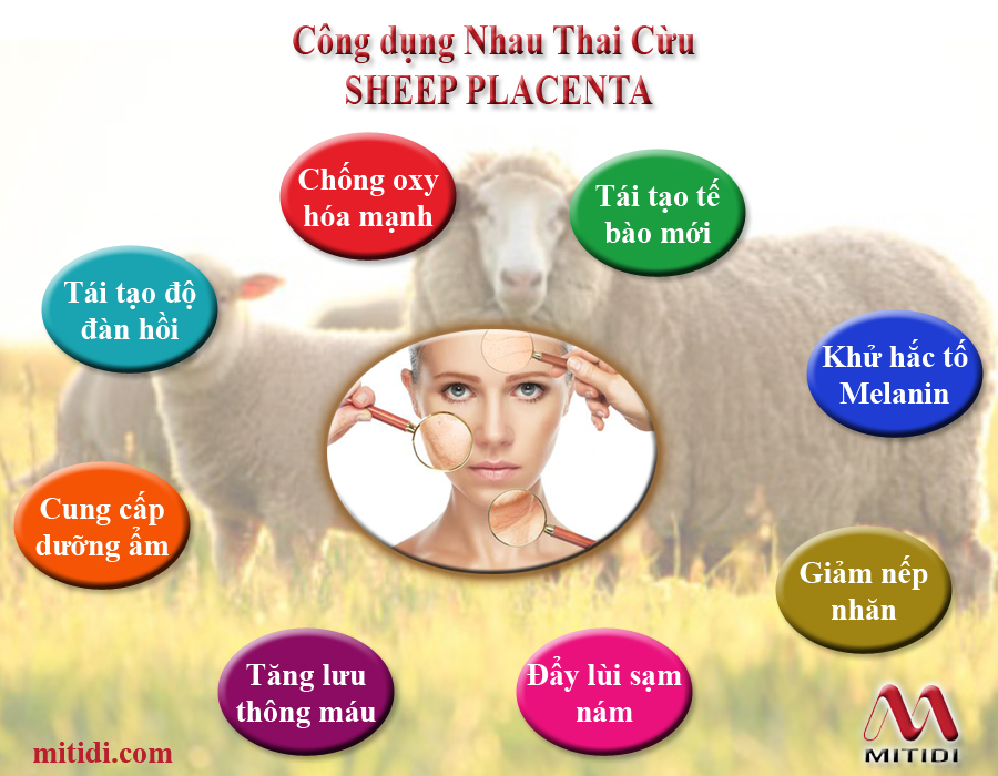 Công dụng của kem nhau thai cừu của Úc Mitidi-kem-nhau-thai-cuu-chong-lao-hoa-tri-nam-08.jpg (395 KB)